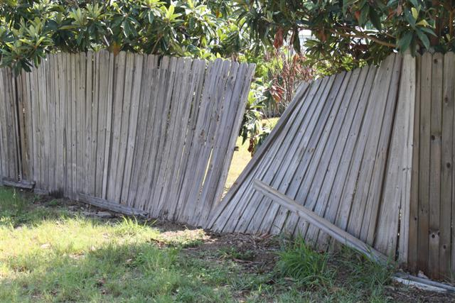 Storm-damaged wood privacy fence collapsed after high winds in Orlando, FL before emergency fence repair.